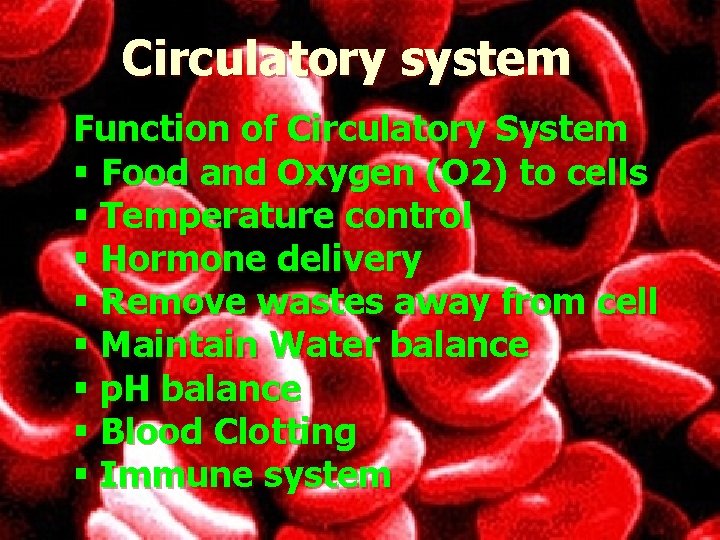 Circulatory system Function of Circulatory System § Food and Oxygen (O 2) to cells