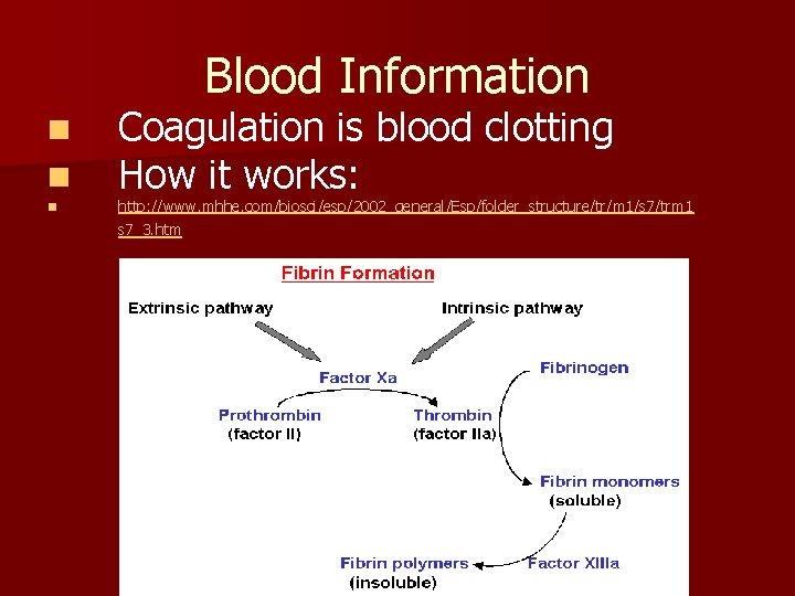 Blood Information n Coagulation is blood clotting How it works: http: //www. mhhe. com/biosci/esp/2002_general/Esp/folder_structure/tr/m