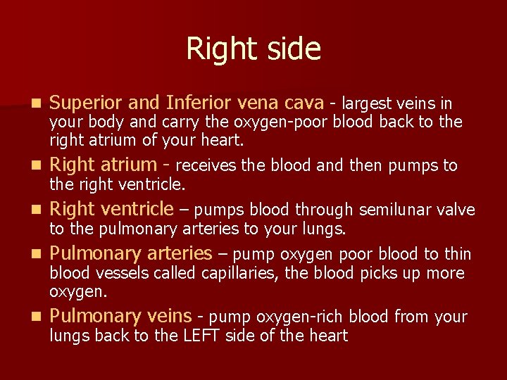 Right side n n n Superior and Inferior vena cava - largest veins in