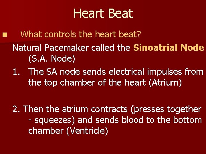 Heart Beat n What controls the heart beat? Natural Pacemaker called the Sinoatrial Node