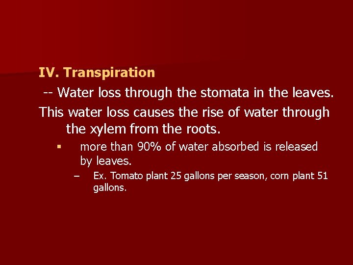 IV. Transpiration -- Water loss through the stomata in the leaves. This water loss