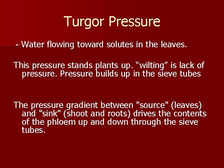 Turgor Pressure - Water flowing toward solutes in the leaves. This pressure stands plants
