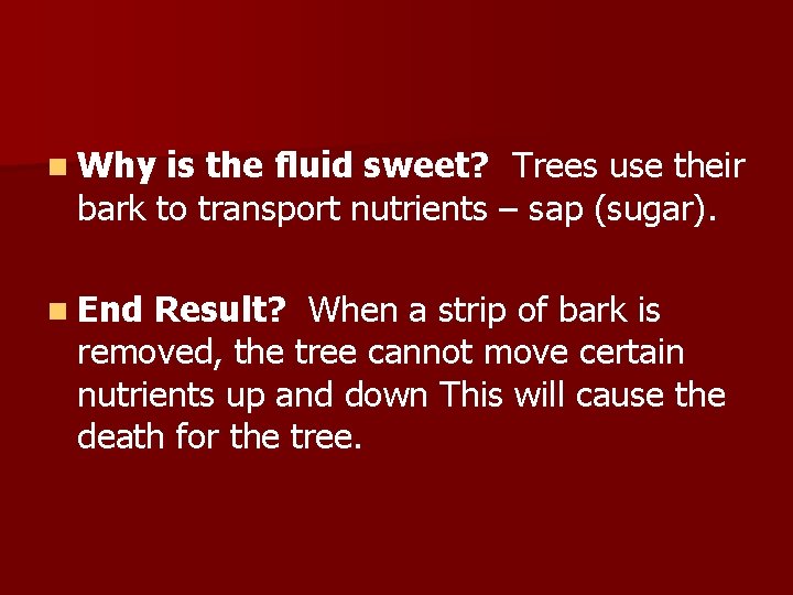 n Why is the fluid sweet? Trees use their bark to transport nutrients –
