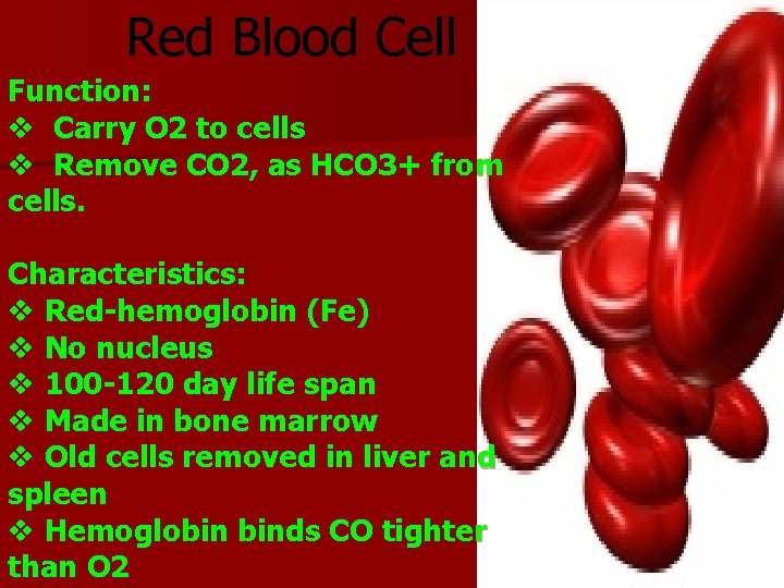 Red Blood Cell Function: v Carry O 2 to cells v Remove CO 2,