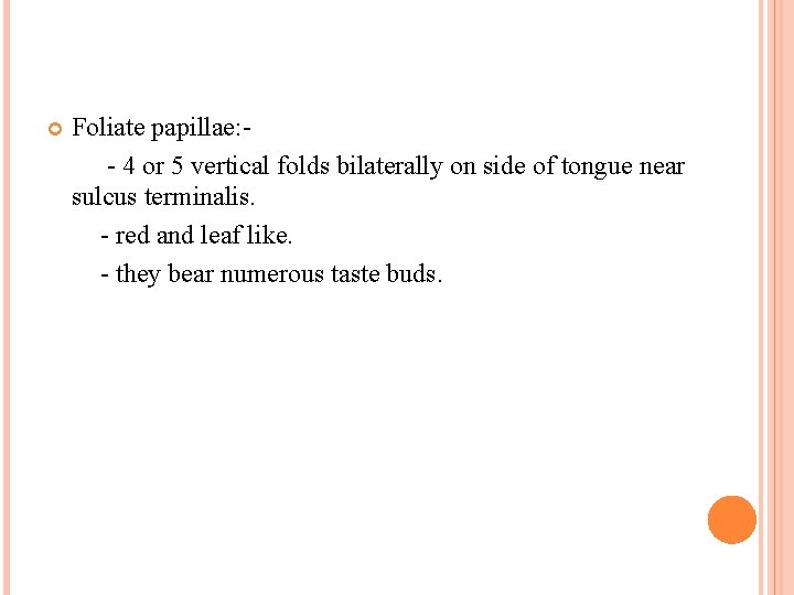  Foliate papillae: - 4 or 5 vertical folds bilaterally on side of tongue