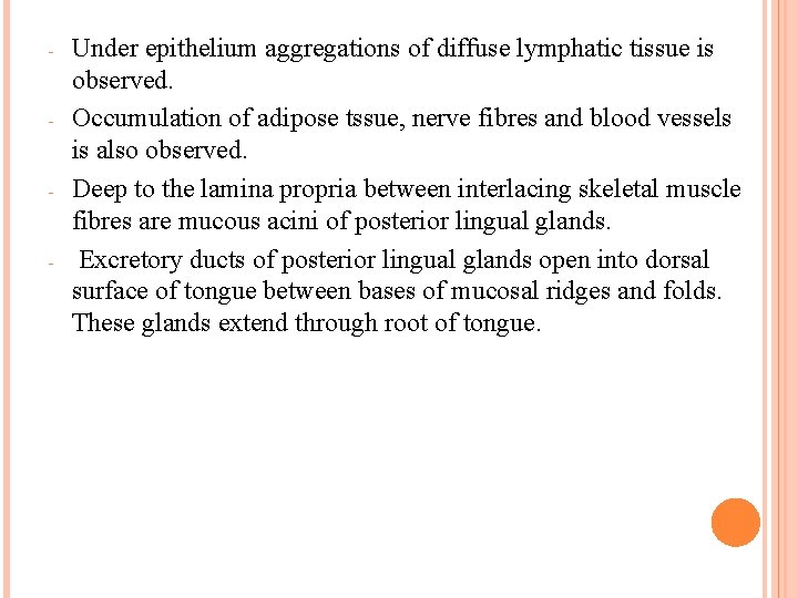 - - Under epithelium aggregations of diffuse lymphatic tissue is observed. Occumulation of adipose