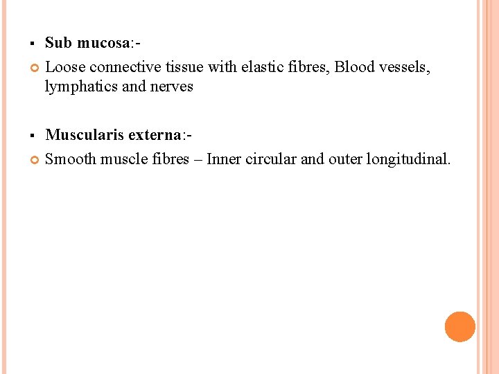 Sub mucosa: Loose connective tissue with elastic fibres, Blood vessels, lymphatics and nerves §