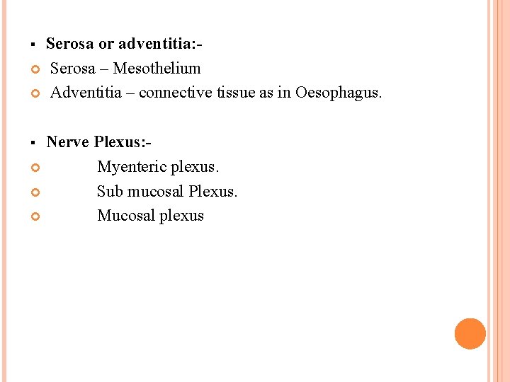 Serosa or adventitia: Serosa – Mesothelium Adventitia – connective tissue as in Oesophagus. §