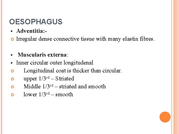 OESOPHAGUS Adventitia: Irregular dense connective tissue with many elastin fibres. § Muscularis externa: §