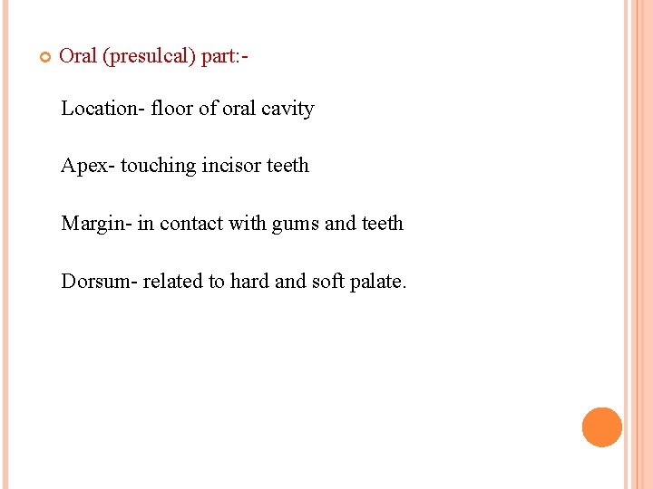  Oral (presulcal) part: Location- floor of oral cavity Apex- touching incisor teeth Margin-