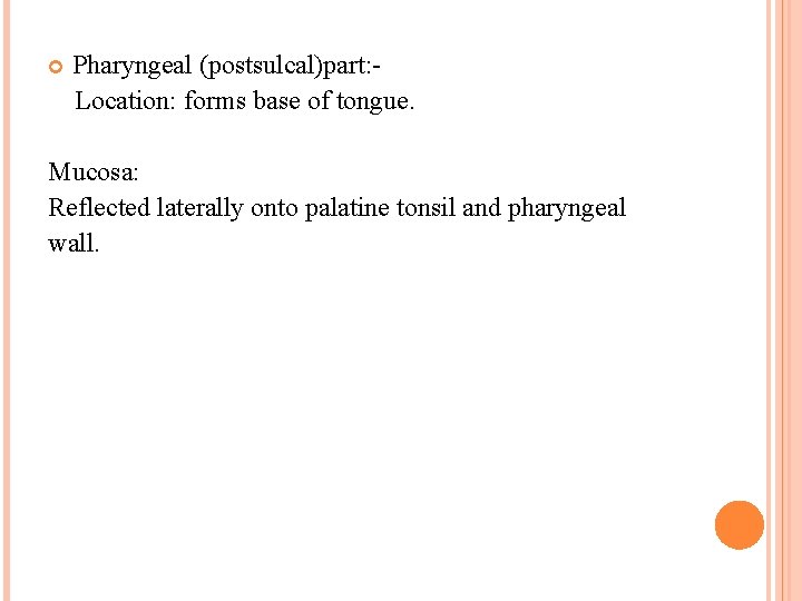 Pharyngeal (postsulcal)part: Location: forms base of tongue. Mucosa: Reflected laterally onto palatine tonsil