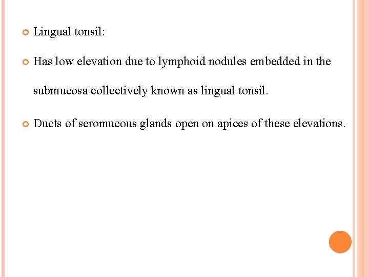  Lingual tonsil: Has low elevation due to lymphoid nodules embedded in the submucosa