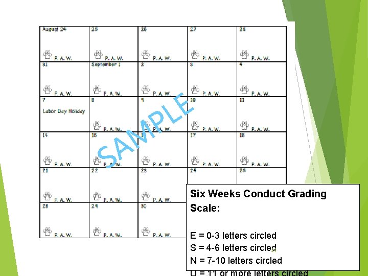 S E L M A P Six Weeks Conduct Grading Scale: E = 0