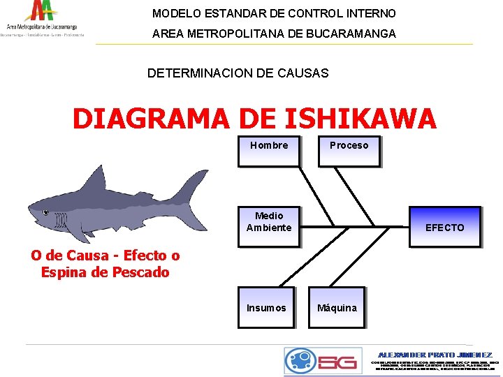 MODELO ESTANDAR DE CONTROL INTERNO AREA METROPOLITANA DE BUCARAMANGA DETERMINACION DE CAUSAS DIAGRAMA DE