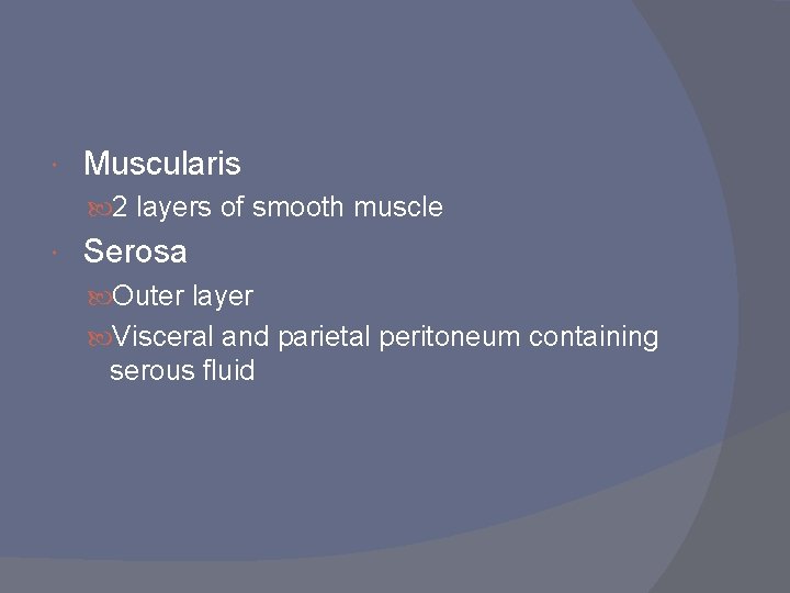  Muscularis 2 layers of smooth muscle Serosa Outer layer Visceral and parietal peritoneum