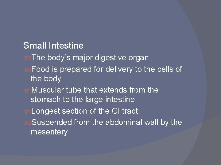  Small Intestine The body’s major digestive organ Food is prepared for delivery to