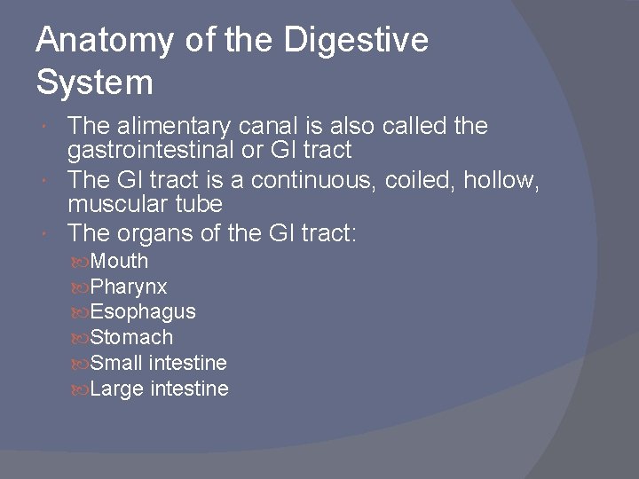 Anatomy of the Digestive System The alimentary canal is also called the gastrointestinal or