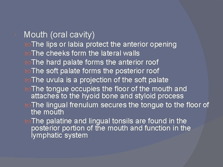  Mouth (oral cavity) The The The lips or labia protect the anterior opening