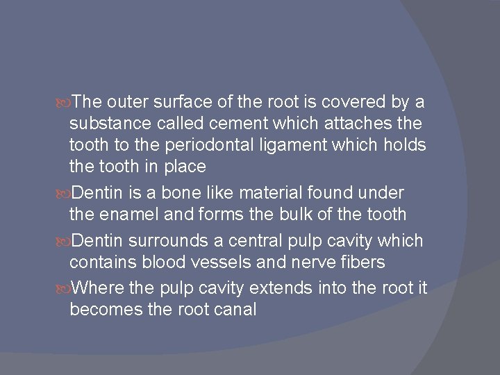  The outer surface of the root is covered by a substance called cement