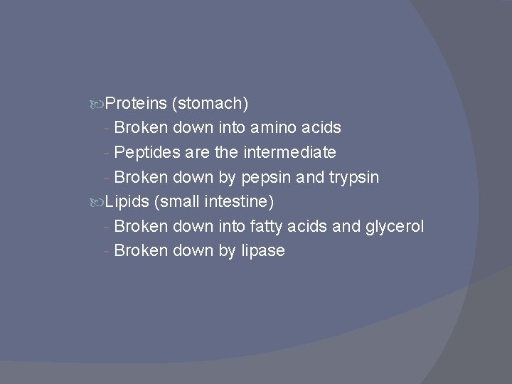  Proteins (stomach) - Broken down into amino acids - Peptides are the intermediate