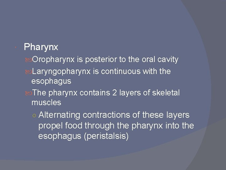  Pharynx Oropharynx is posterior to the oral cavity Laryngopharynx is continuous with the