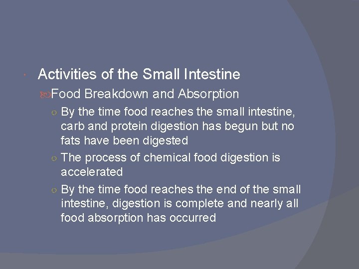  Activities of the Small Intestine Food Breakdown and Absorption ○ By the time