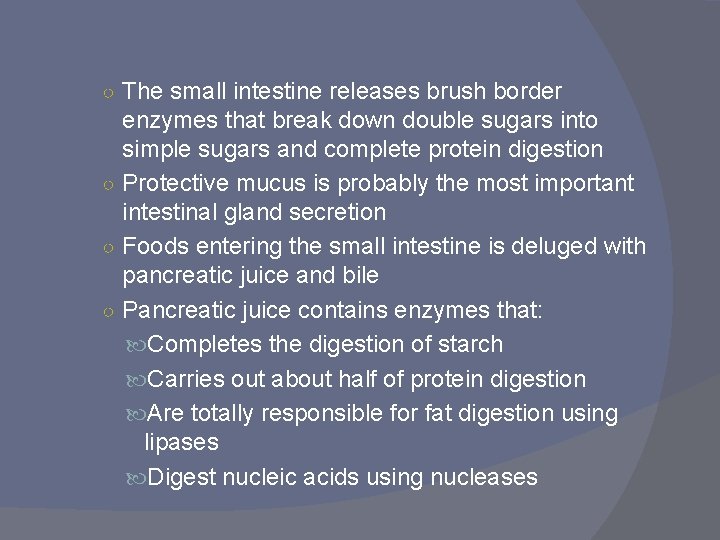 ○ The small intestine releases brush border enzymes that break down double sugars into