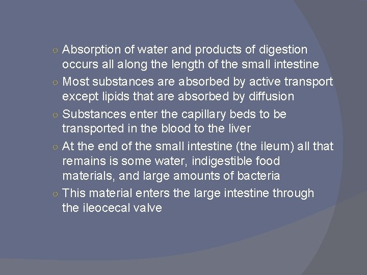 ○ Absorption of water and products of digestion ○ ○ occurs all along the