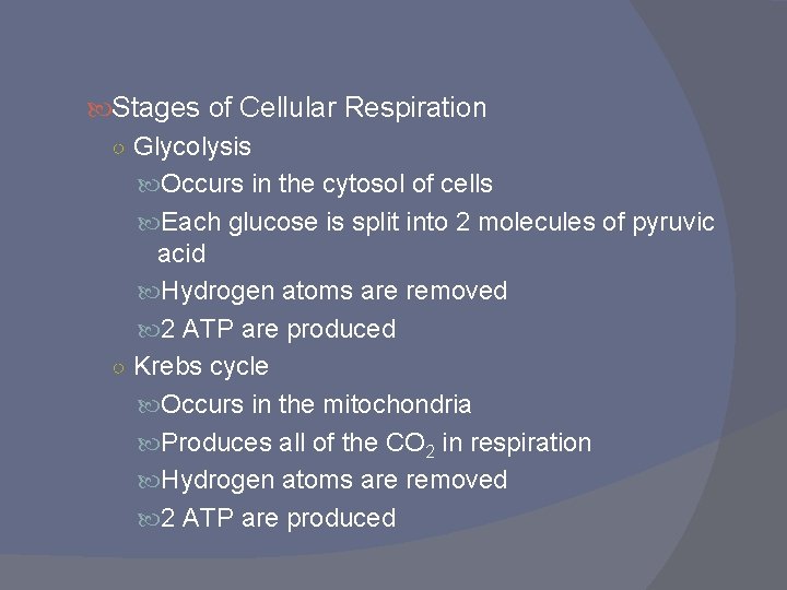  Stages of Cellular Respiration ○ Glycolysis Occurs in the cytosol of cells Each
