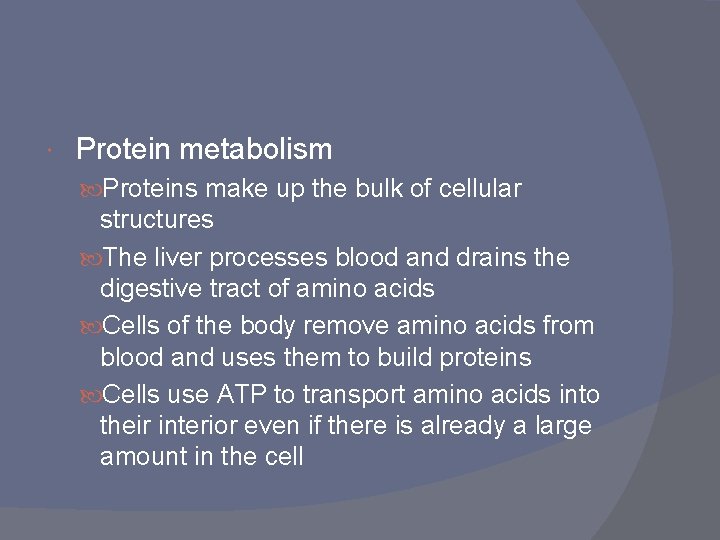  Protein metabolism Proteins make up the bulk of cellular structures The liver processes