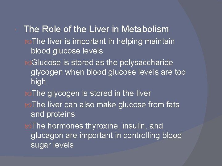  The Role of the Liver in Metabolism The liver is important in helping