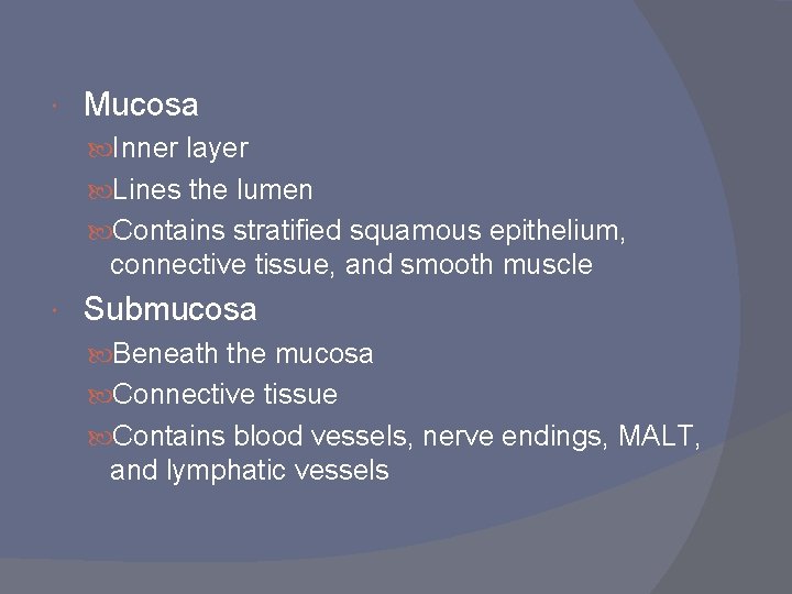  Mucosa Inner layer Lines the lumen Contains stratified squamous epithelium, connective tissue, and