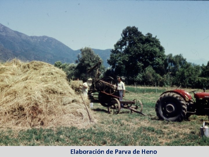 Elaboración de Parva de Heno 