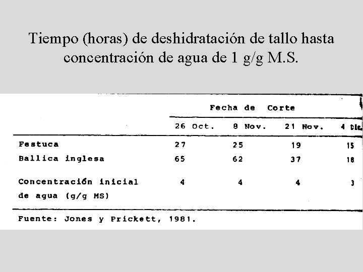 Tiempo (horas) de deshidratación de tallo hasta concentración de agua de 1 g/g M. Tiempo (horas) de deshidratación de tallo hasta concentración de agua de 1 g/g M.