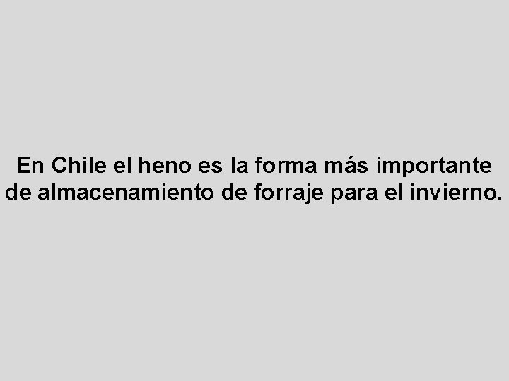 En Chile el heno es la forma más importante de almacenamiento de forraje para