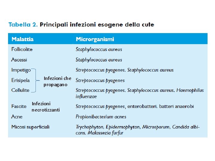 Infezioni che propagano Infezioni necrotizzanti 