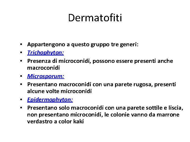 Dermatofiti • Appartengono a questo gruppo tre generi: • Trichophyton: • Presenza di microconidi,