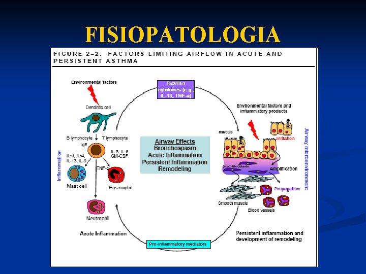 FISIOPATOLOGIA 