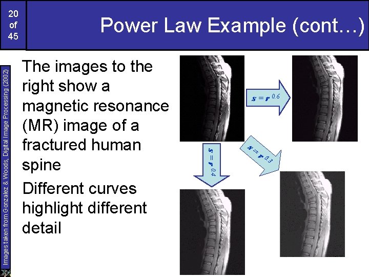 Power Law Example (cont…) The images to the right show a magnetic resonance (MR)
