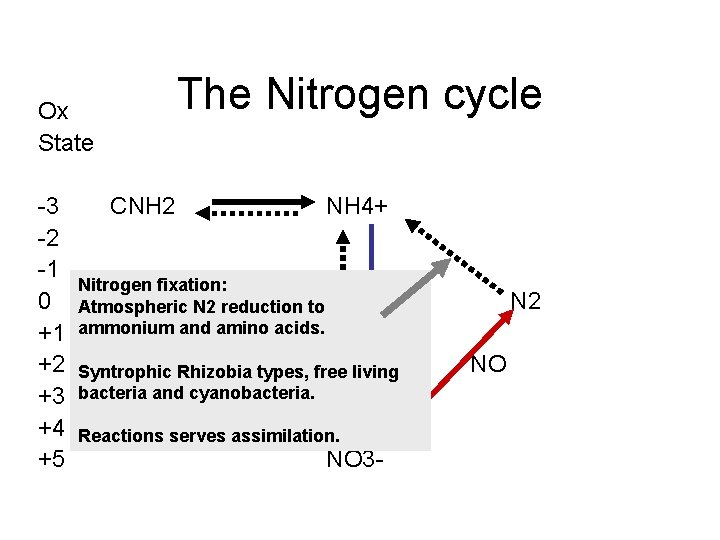 The Nitrogen cycle Ox State 3 2 1 0 +1 +2 +3 +4 +5
