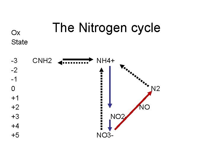The Nitrogen cycle Ox State 3 2 1 0 +1 +2 +3 +4 +5