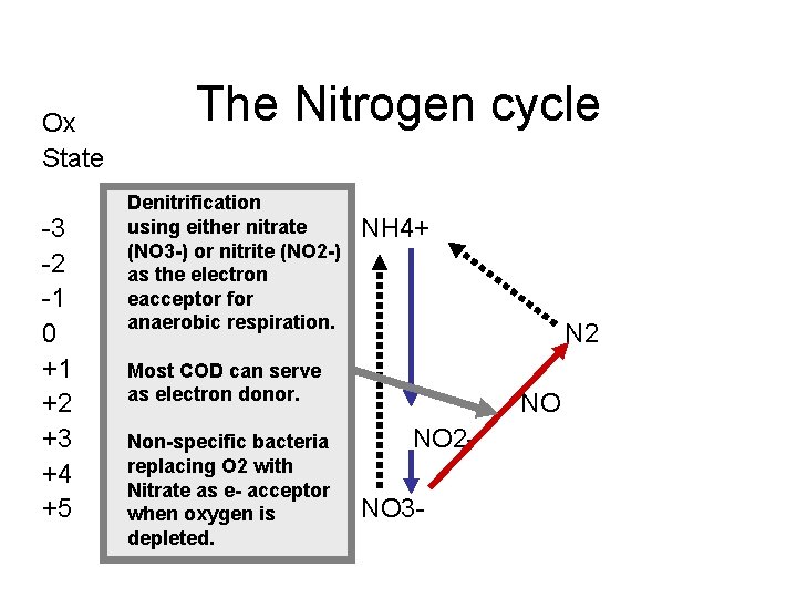 Ox State 3 2 1 0 +1 +2 +3 +4 +5 The Nitrogen cycle