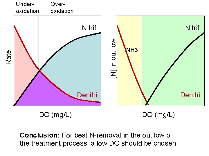 Under oxidation Over oxidation Nitrif. Rate [N] in outflow Nitrif. NH 3 Denitri. DO