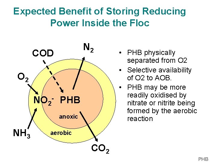 Expected Benefit of Storing Reducing Power Inside the Floc N 2 COD O 2