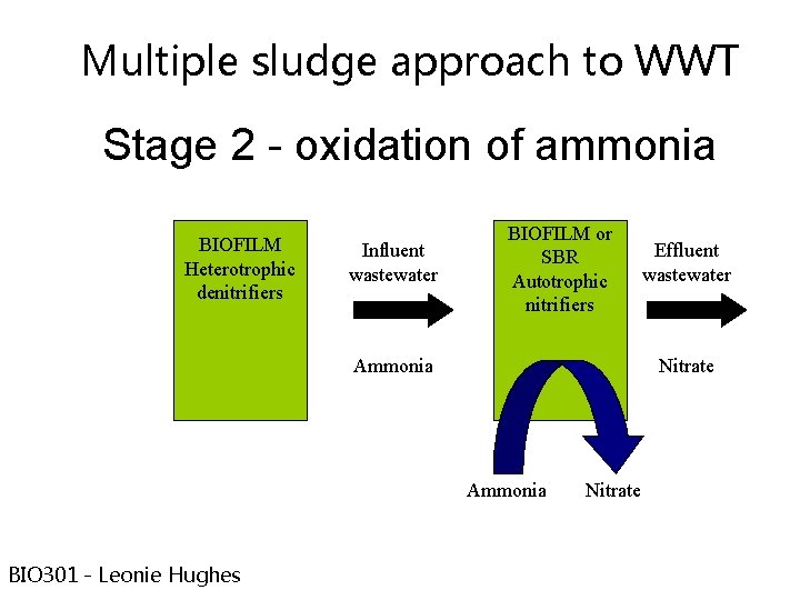 Multiple sludge approach to WWT Stage 2 oxidation of ammonia BIOFILM Heterotrophic denitrifiers Influent