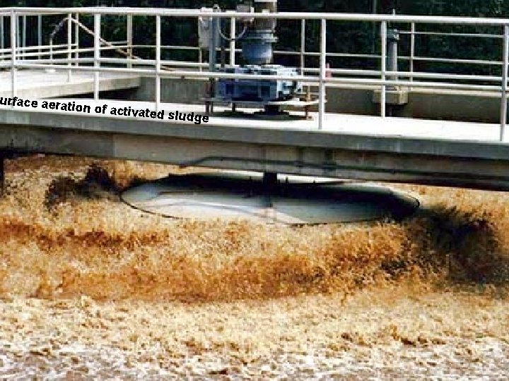 urface aeratio n of activate d sludge 