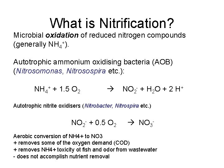 What is Nitrification? Microbial oxidation of reduced nitrogen compounds (generally NH 4+). Autotrophic ammonium