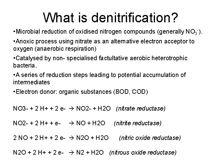 What is denitrification? • Microbial reduction of oxidised nitrogen compounds (generally NO 3 ).