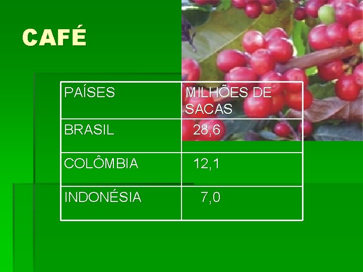 CAFÉ PAÍSES BRASIL MILHÕES DE SACAS 28, 6 COLÔMBIA 12, 1 INDONÉSIA 7, 0