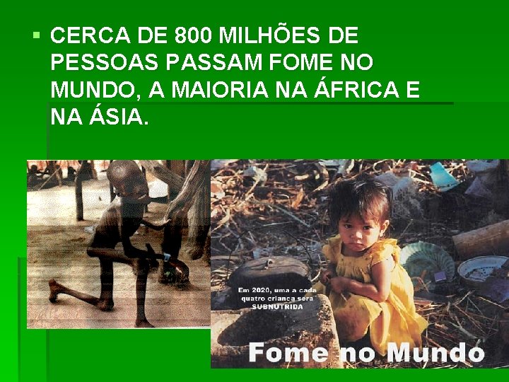 § CERCA DE 800 MILHÕES DE PESSOAS PASSAM FOME NO MUNDO, A MAIORIA NA